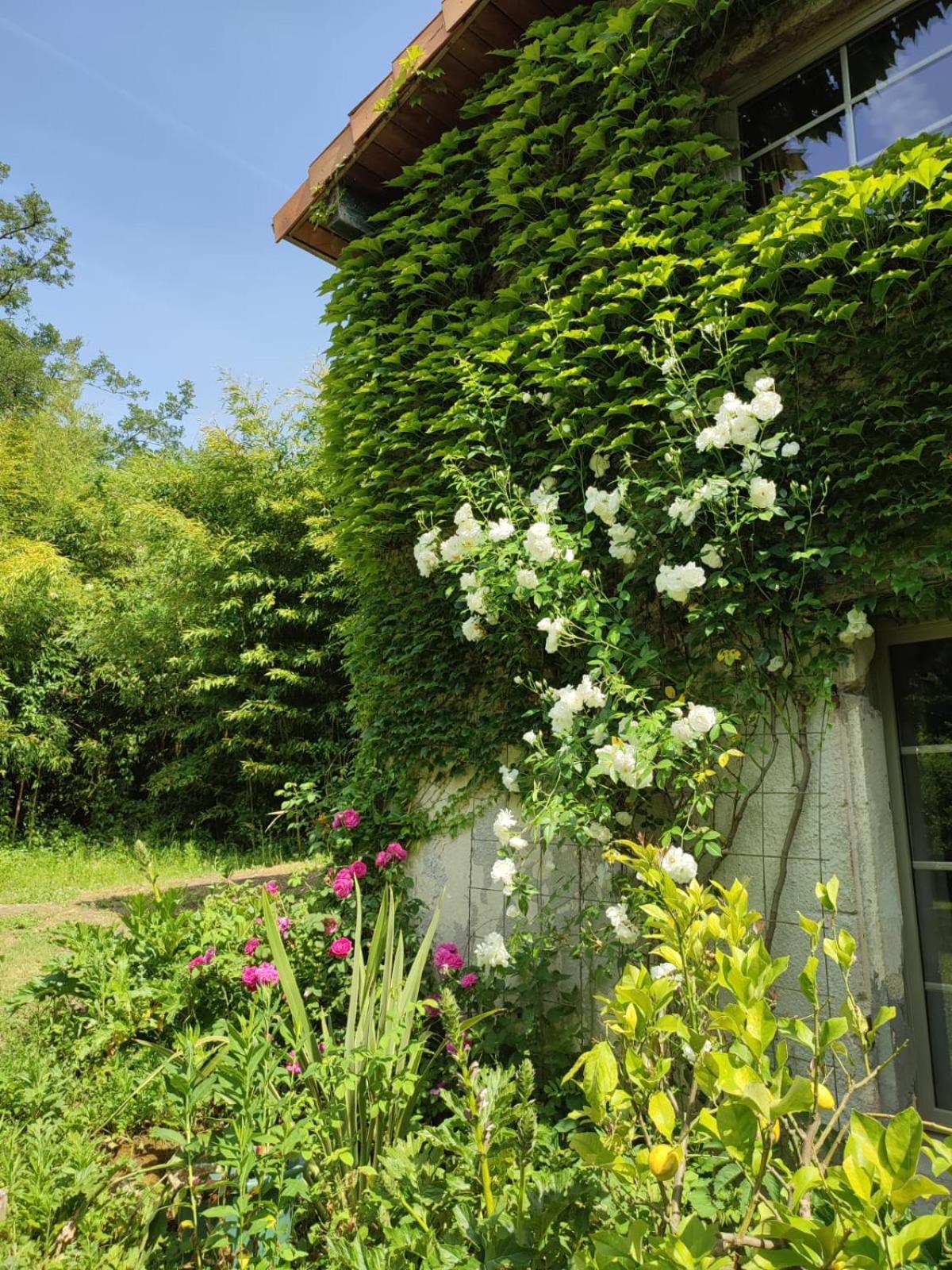 Chambre D'Hotes Le Moulin De Moulis Buitenkant foto